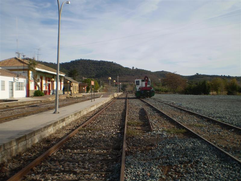 P1010496 (Medium).JPG
