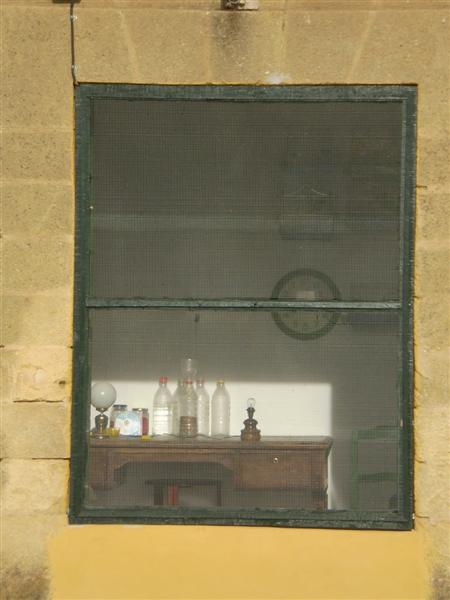 P1010504 (Medium).JPG