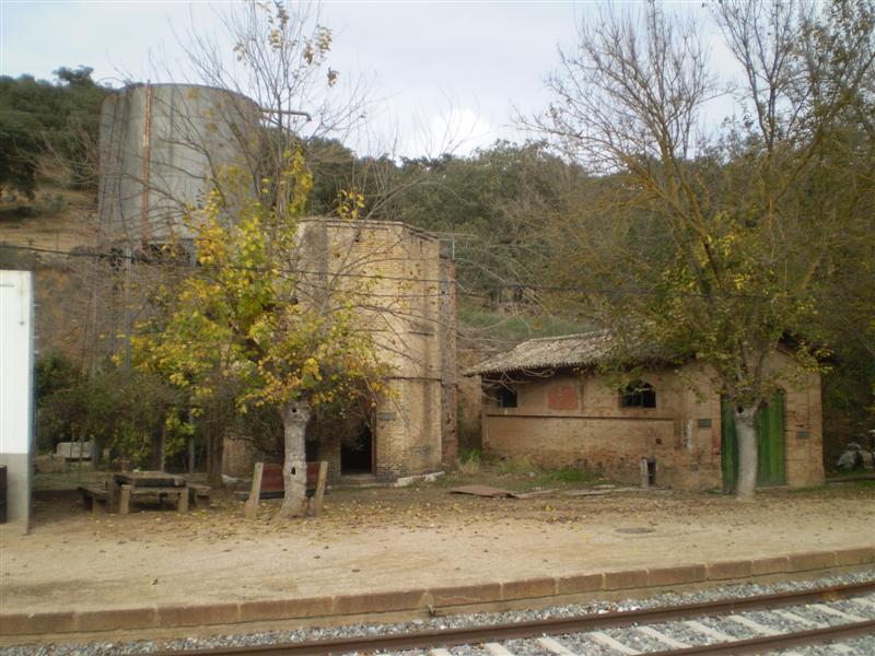 P1010557 (Medium).JPG