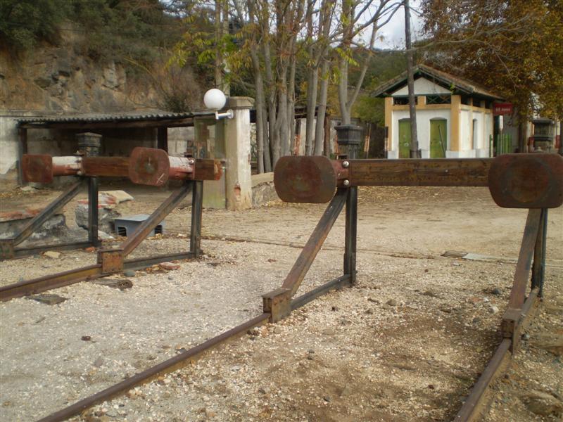 P1010562 (Medium).JPG