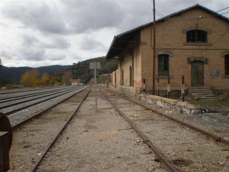 P1010563 (Medium).JPG