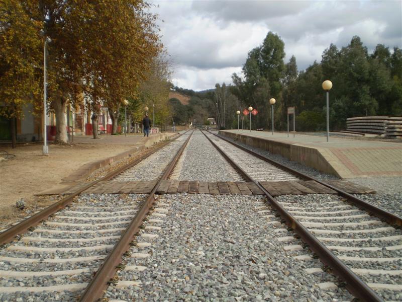 P1010565 (Medium).JPG