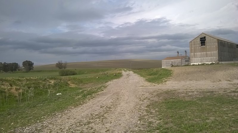 WP_20150408_11_33_33_Pro.jpg