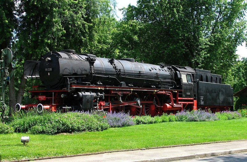 6893716.jpg
