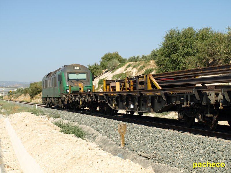 P1014824#.jpg