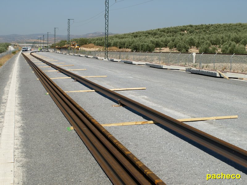P1014834#.jpg