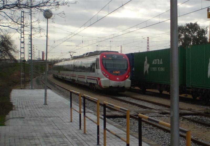 Copia de P1010112 (Medium).JPG
