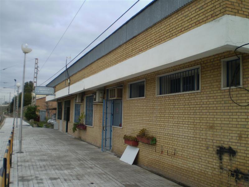 P1010115 (Medium).JPG