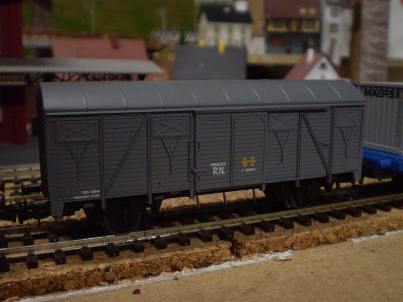P1010122 (Medium).JPG
