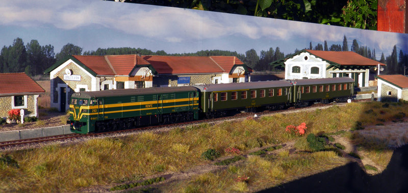 P8198996.jpg