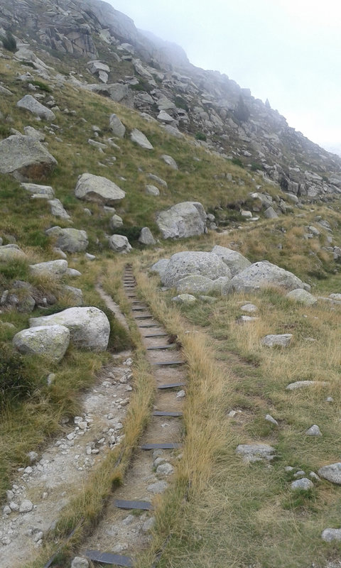 20150819_154414.jpg