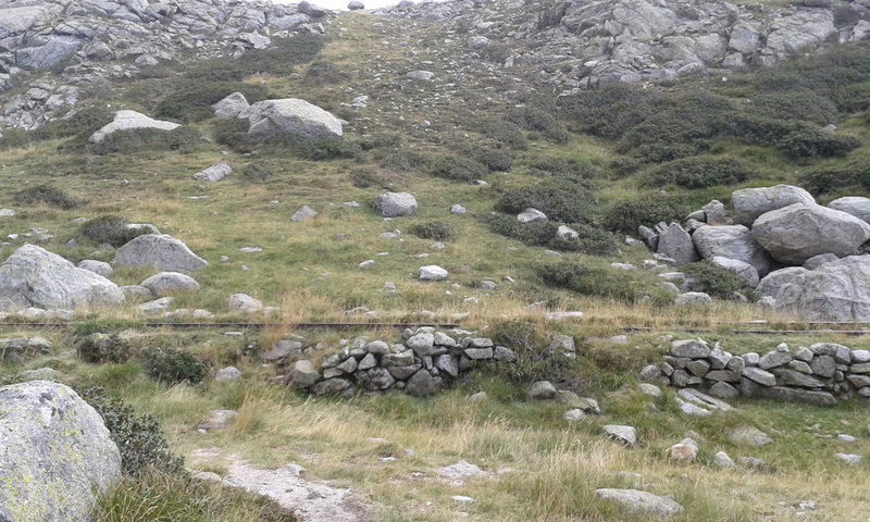 20150819_155538.jpg