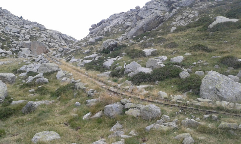 20150819_162532.jpg