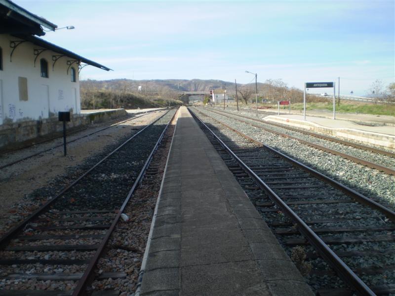 P1010579 (Medium).JPG