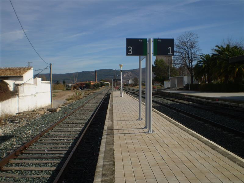 P1010582 (Medium).JPG