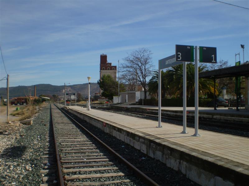 P1010584 (Medium).JPG