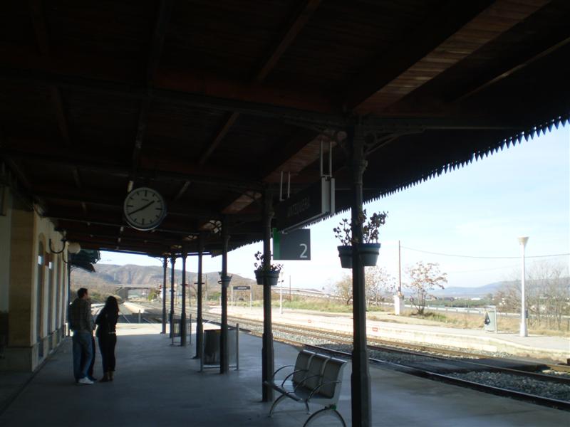 P1010587 (Medium).JPG