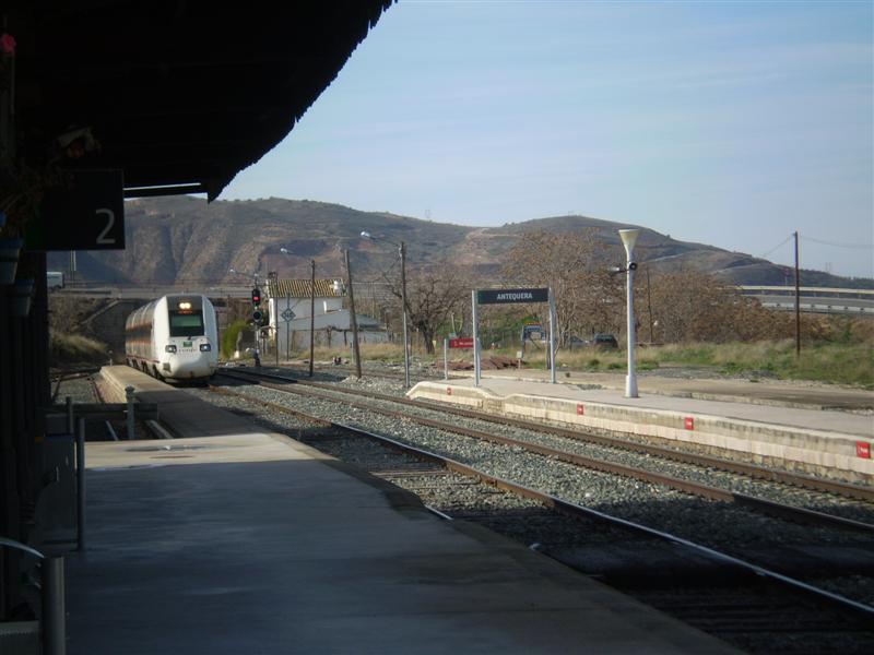 P1010591 (Medium).JPG