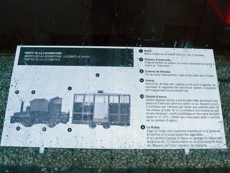 P1160996.JPG