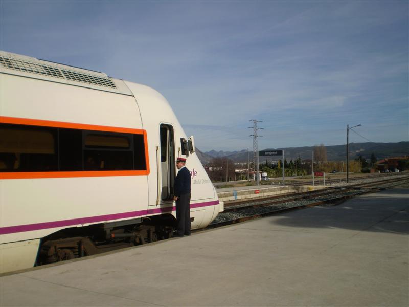 P1010592 (Medium).JPG