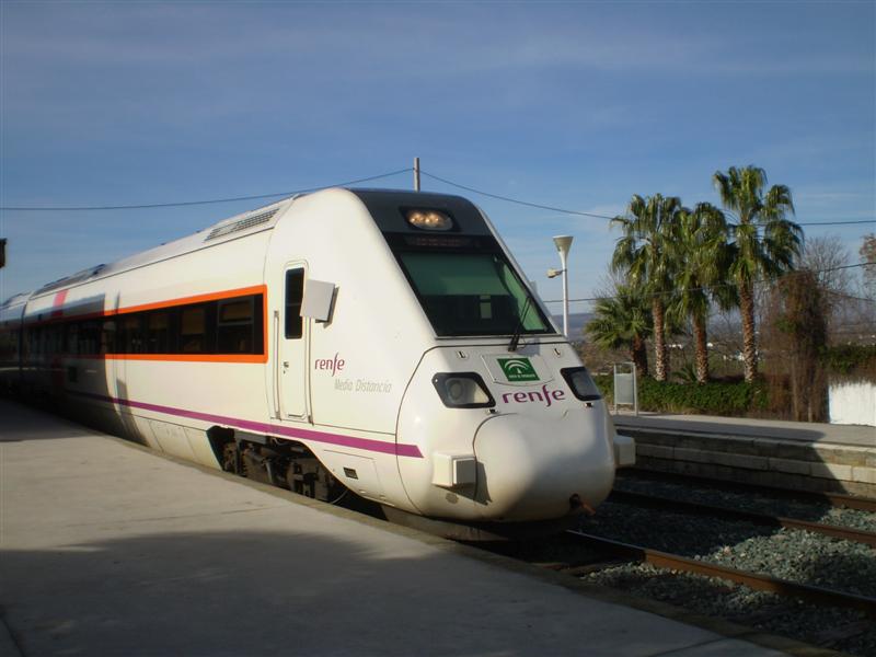 P1010593 (Medium).JPG