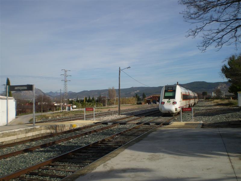 P1010595 (Medium).JPG
