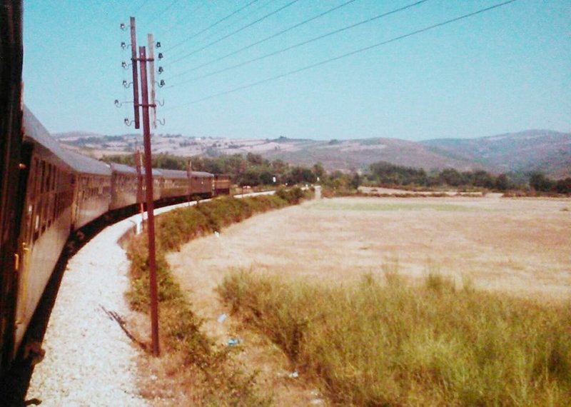1982.jpg