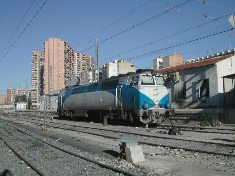 333204.jpg