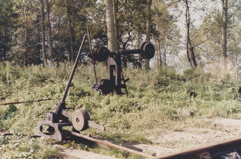 eco3.jpg
