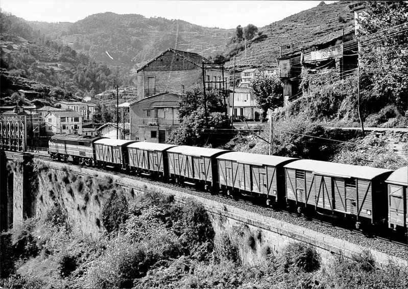 Peares1800.jpg