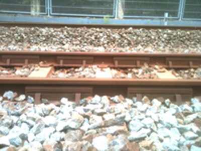 IMG_0900-1rr.jpg