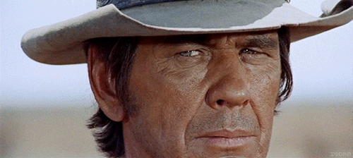 tumblr_mx07ymWO0P1rf6idko2_500.gif