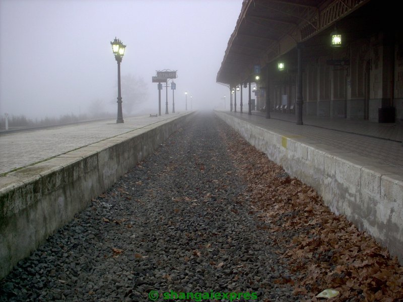 IMAG0021.JPG