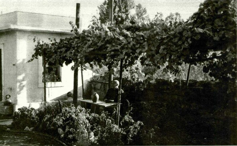 Caseta.jpg