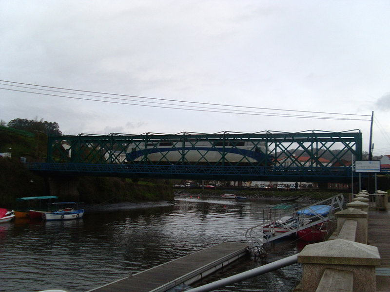 SL376862.JPG