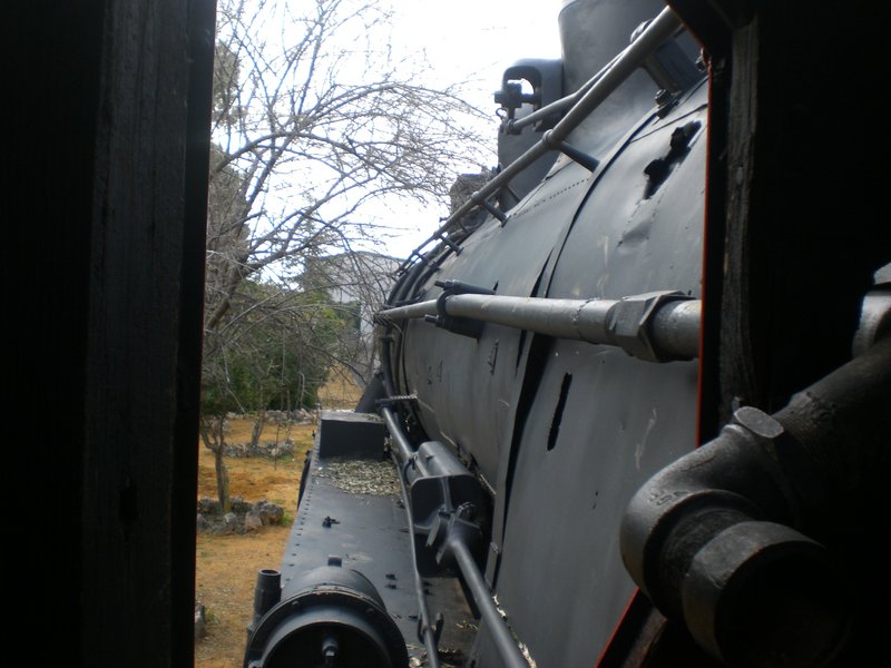 cabraa.jpg