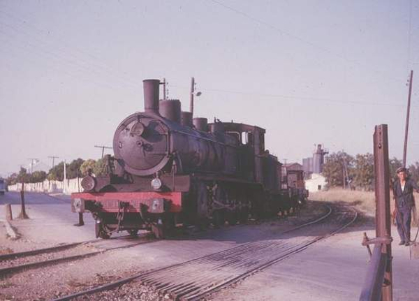 2402042.jpg