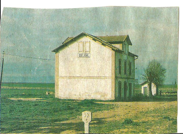 ROBLIZA DE COJOS.jpg