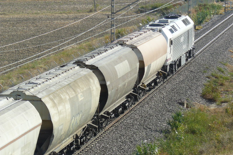 P1150033.JPG