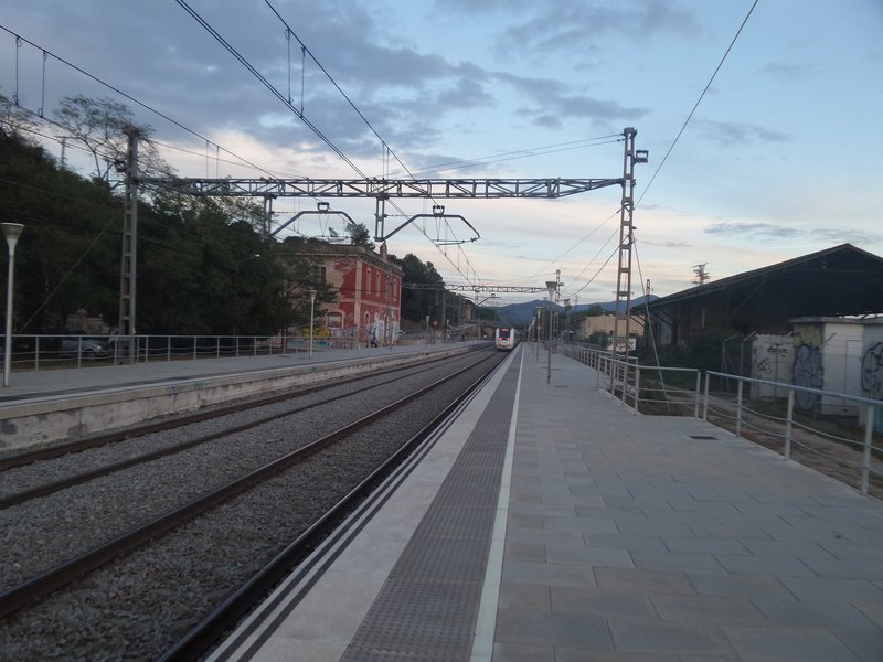 Palautordera V.jpg