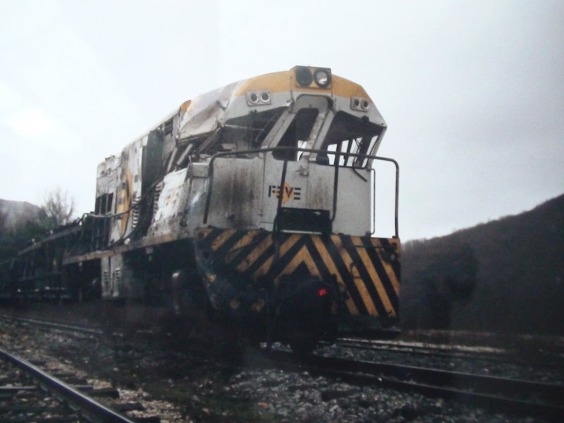 DSC00266.JPG