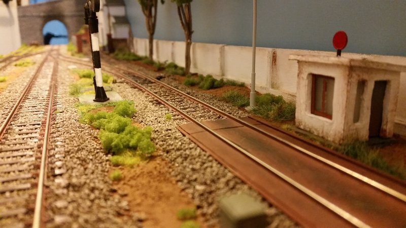 20151018_115827.jpg