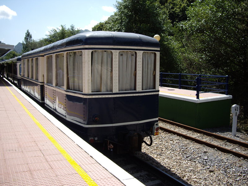 IMGP0915.JPG