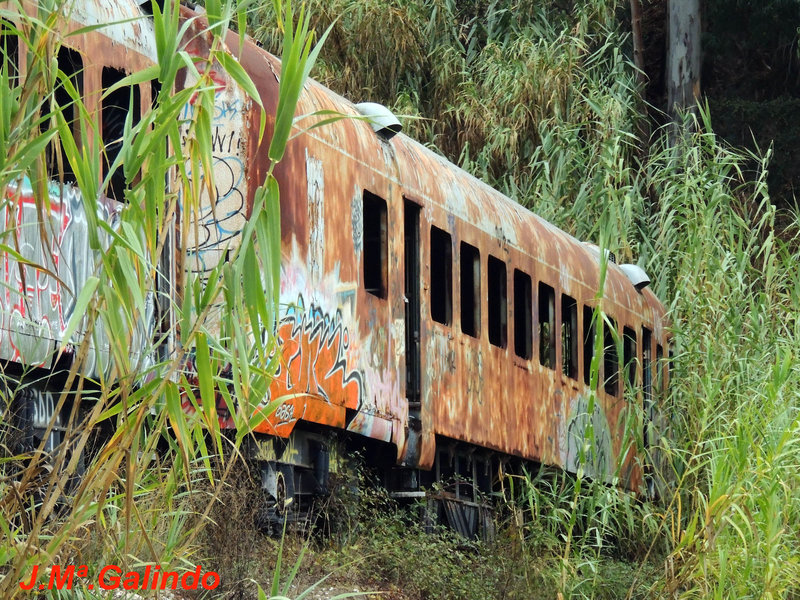 DSCN4258 - copia.jpg
