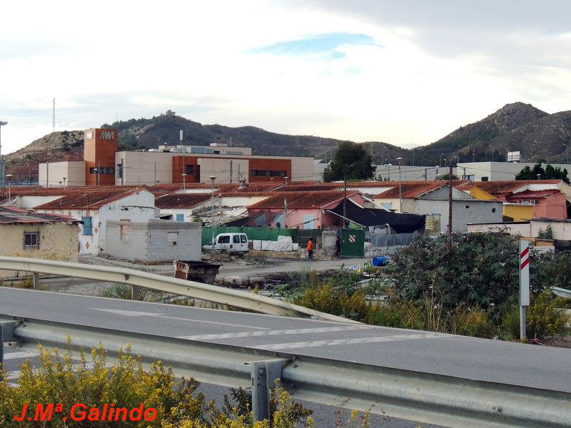 DSCN4196.jpg
