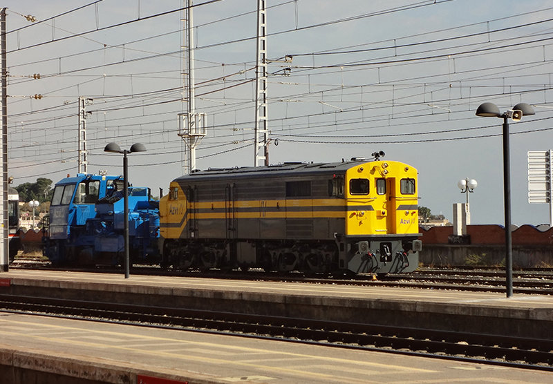 AZVI-Tarragona_21octubre2015_JosepMiquel.JPG