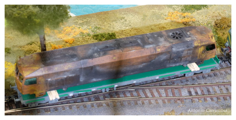 DSCF1519.JPG