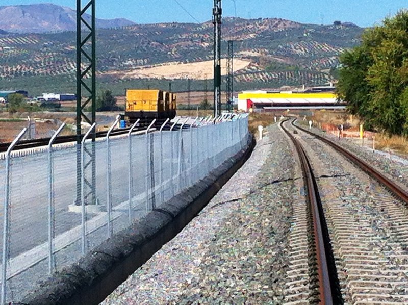 pinos3.jpg
