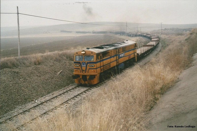2175.1.jpg