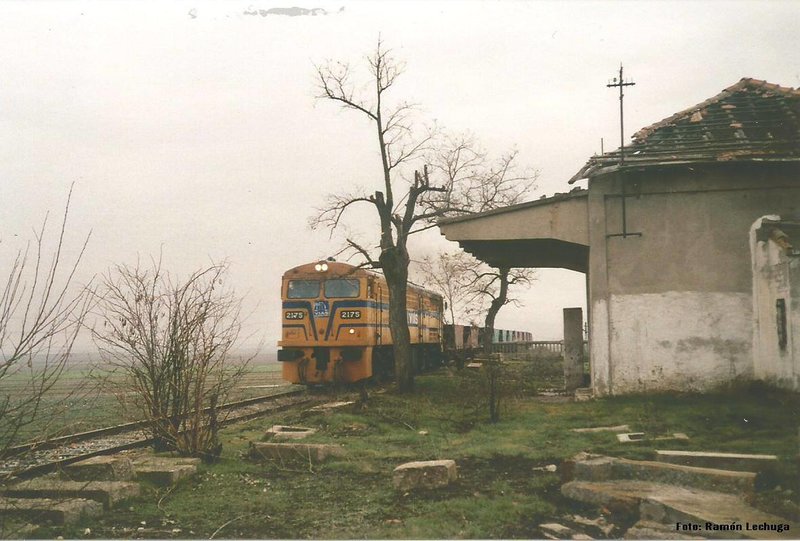 2175.3.jpg